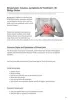Breast Pain Causes, Symptoms &amp; Treatment Dr. Shilpy Dolas : dr shilpy dolas : Free Download, Borrow, and Streaming : Internet Archive