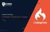 guide on hiring codeigniter development company 