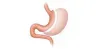 Best Bariatric & Weight Loss Surgery in India