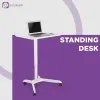 purpleark standing desk