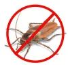 The Homo Sapien Thinks — How Cockroaches Can Make You Sick And What Can You...