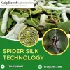 Spider Silk Technology - JustPaste.it