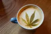               Here's why CBD Coffee Is Becoming a Natural Trend          