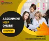 How to choose Best Assignment Help Online Service
