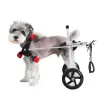 Dog Wheelchairs for Dog Back Legs Paralyzed - Pet Products B2B Marketplace