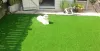 How do you maintain Artificial Grass - Dekorr by aavana