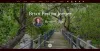 Every Writer Needs Author Websites