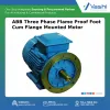 ABB Three Phase Flame Proof Foot Cum Flange Mounted Motor