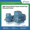 ABB Three Phase Flame Proof Foot Mounted Motor