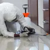 Pest control services in GTA