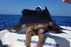 Fishing in Andaman Islands | Andman Island Sea Fishing | Game Fishing Andaman Islands