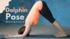 Dolphin Pose - Dolphin pose benefits