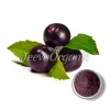 acai powder, acai powder benefits, acai berry powder, organic acai powder, acai berry extract, acai berry powder benefits