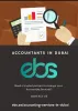 Accountants in Dubai