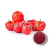 acerola cherry powder, organic acerola cherry powder, bulk organic acerola cherry powder