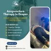 Acupuncture in Draper