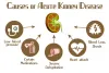 Acute Kidney disease treatment in Ayurveda