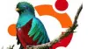 How To Book Fly Now Pay Later on Flights? | fly now pay later,fly now pay later uk,pay monthly flights How To Guide