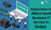 Know How to Afford Small Business IT Services in Budget