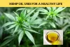 Cannabidiol and Hemp Extract Manufacturing Company in USA