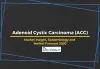 adenoid-cystic-carcinoma-acc-market-size-share-trends-growth-forecast-epidemiology-pipeline-therapies-treatment-therapeutics-analysis