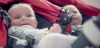Canadian Citizenship with Childbirth - Mom Blog Society