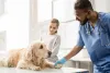 Is Your Doggy Suffering From A Heart Disease - HankPets