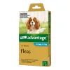  Buy Advantage For Large Dogs 10 To 25kg (Red) - Free Shipping