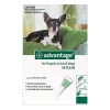 Advantage for Dogs: Advantage Flea treatment for Dogs