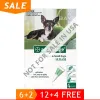 Dog Flea Control : Flea & Tick Control, Prevention and Treatment for Dogs - PetCareClub.com