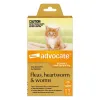 Buy Advocate Orange For Kittens & Small Cats Up To 4Kg 1 Dose Online