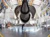 Aircraft Maintenance Engineering (AME) Colleges In Pune,Maharashtra,India  
