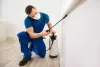 How to get rid of bed bugs?