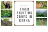 Best Tiger Sighting Zones In Kanha National Park