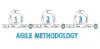 Ibrandtech – The Best Software Development Company