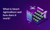 How do smart agriculture solutions help farmers?