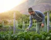 Agriculture Industry Email List | Agriculture Mailing Database