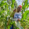 Irrigation In Kenya | Irrigation Filters | Datta Drip