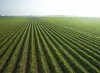 How to Take Loans for Agricultural Lands in Pakistan