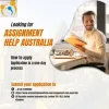 Achieving More Together: The Role of Team Assignment Help in Student Triumph