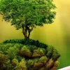 Sarvesh Dharayan | Business News