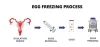 What is the Process of Egg Freezing?