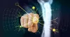A Beginner's Guide to Generative AI
