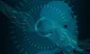 Banks are Expanding their Digital Footprint into AI to Help Investors make Intelligent Investment! - Proche