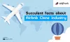 Succulent facts about Airbnb Clone industry