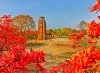 Ajodhya Hills Package Tour from Kolkata