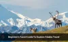 Alaska Travel Tips