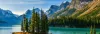 alberta pnp program