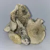 Buy $99/OZ's Online In Canada - Buy Ounces - House Of Shrooms