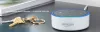 Alexa Customer Service